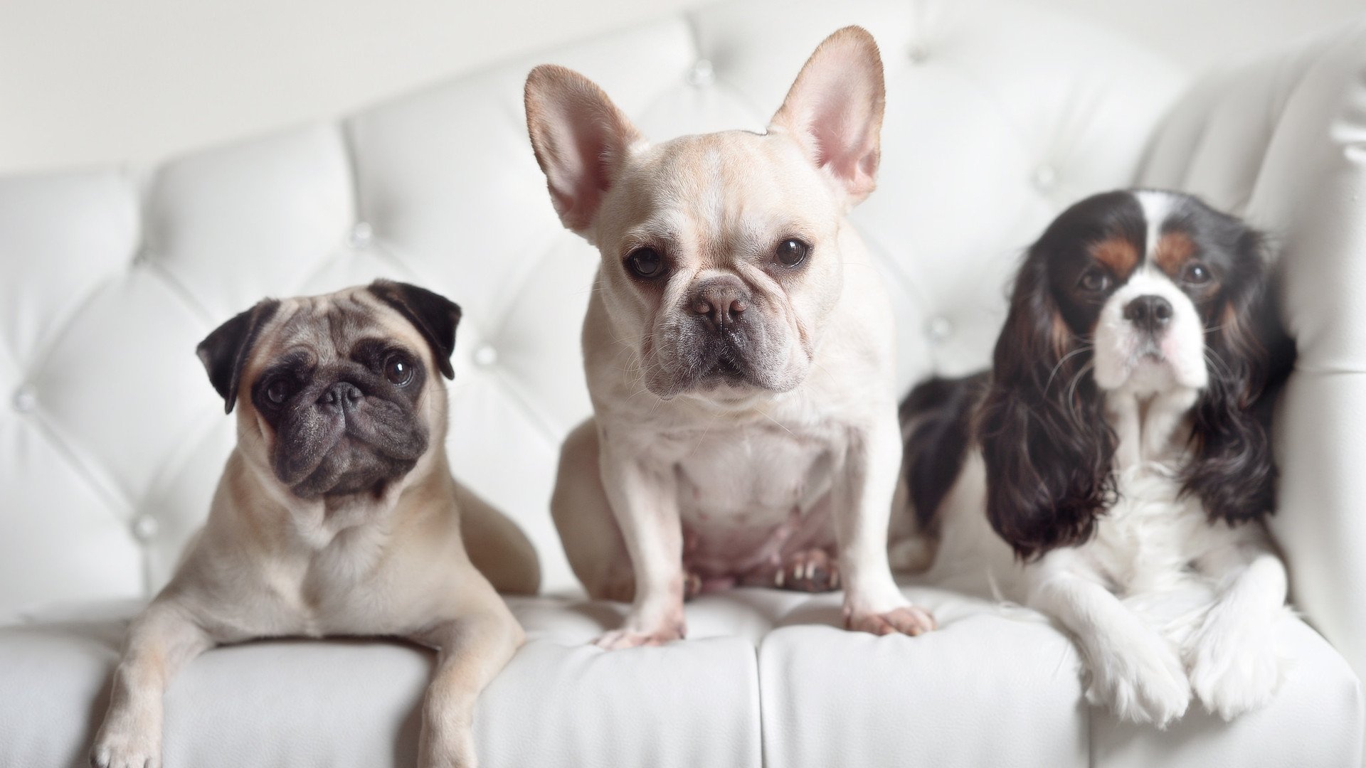 东亚杯中国女足战胜 球员展现团队精神，中国女足晋级东京奥运会赛后采访