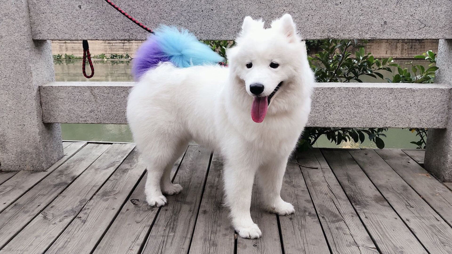 国家队文化建设缺乏象征性标识，国家队文化建设缺乏象征性标识是什么