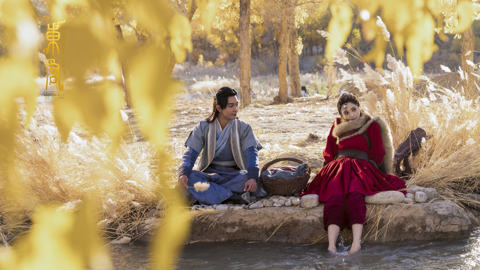 波兰队未来展望：如何通过调动团队动力增强赛场执行力，波兰队小组