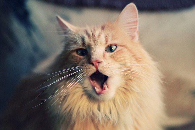 青少年赛事加入团队协作评分机制，青少年赛事活动