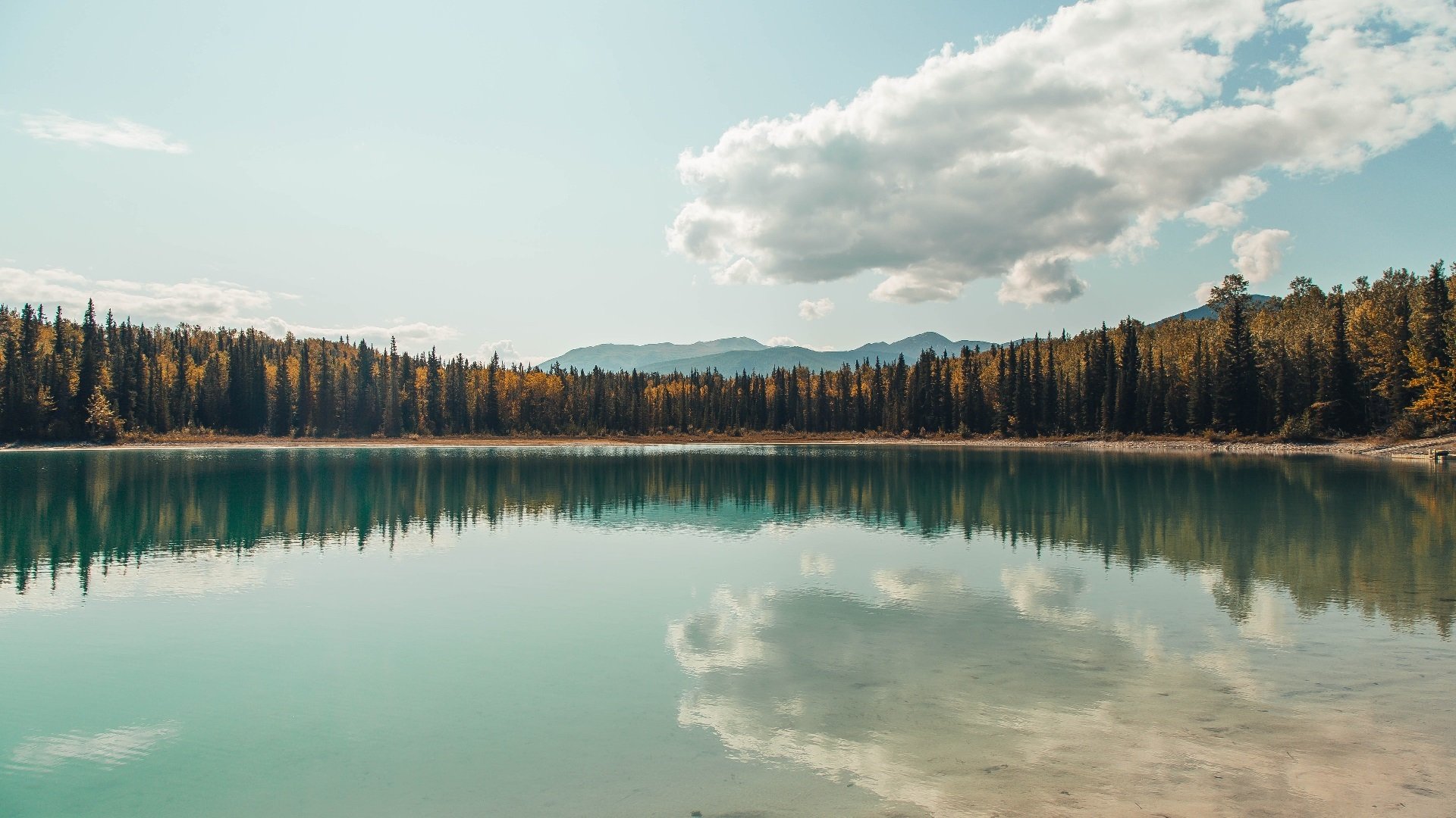 中国女排主帅解析排兵布阵逻辑，中国女排主任