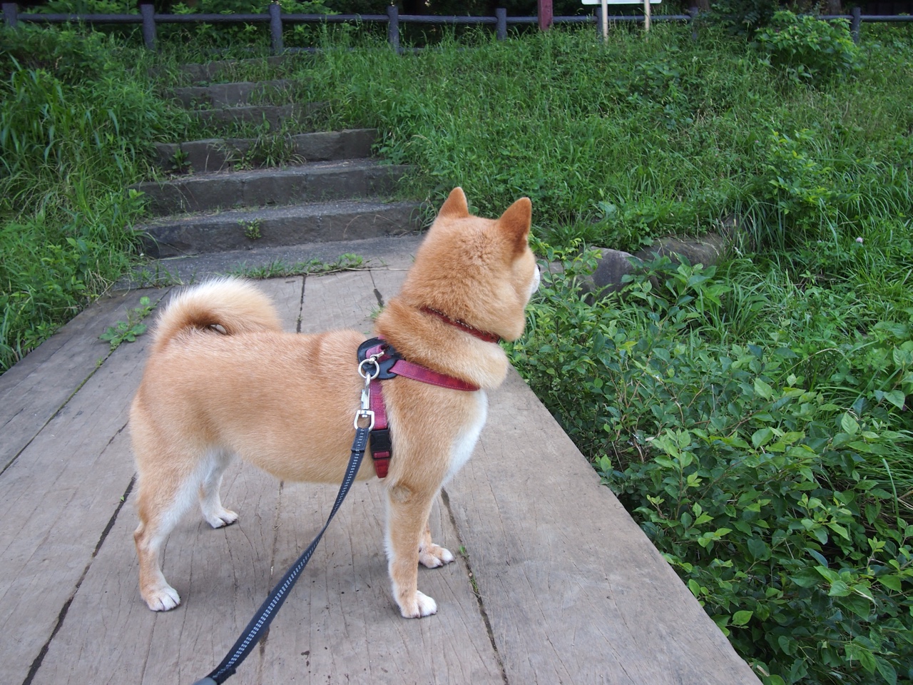 kaiyun.com-体育科技创新推动运动发展，体育 创新