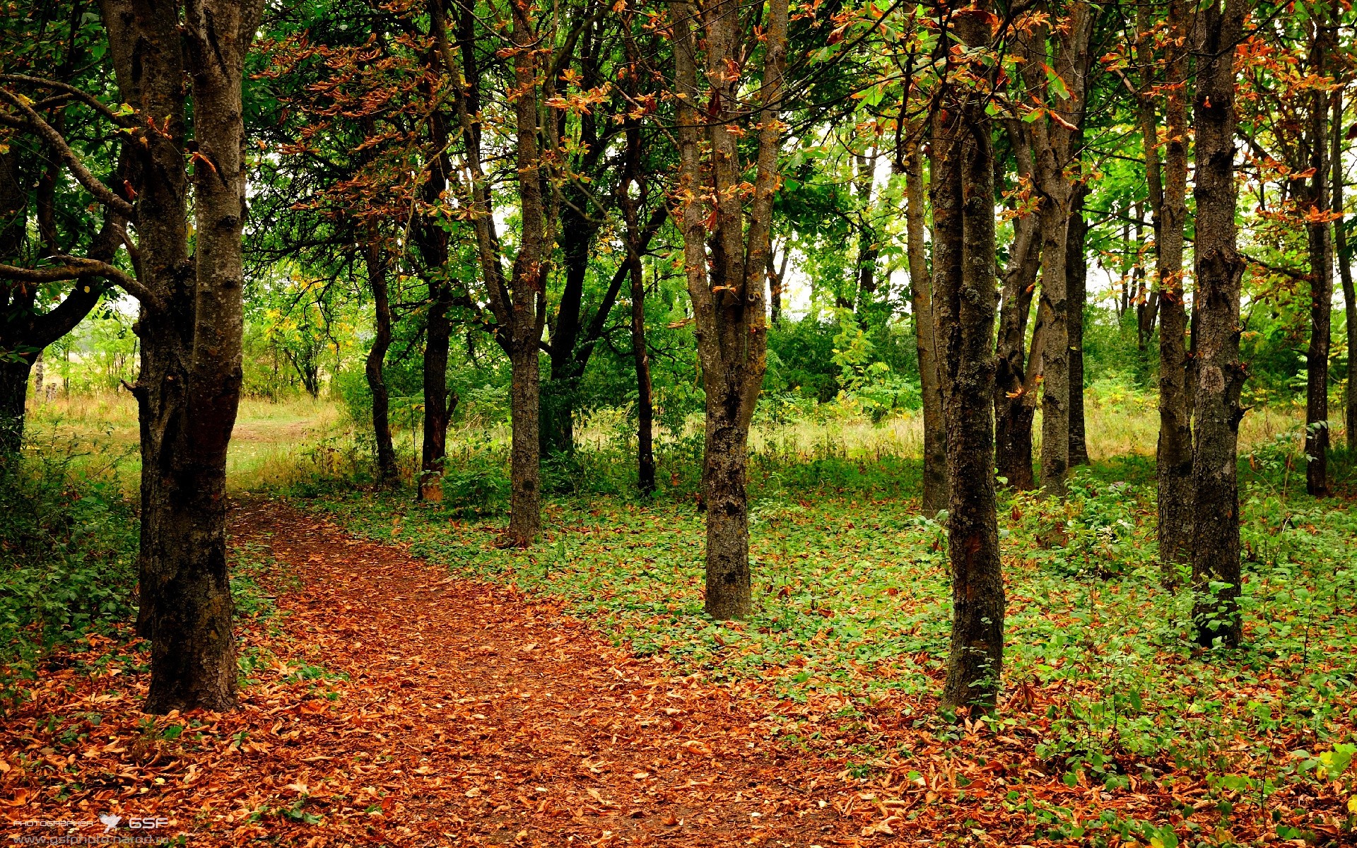 南非橄榄球商业化运作逐步走向成熟,市场前景广阔,南非 橄榄球
