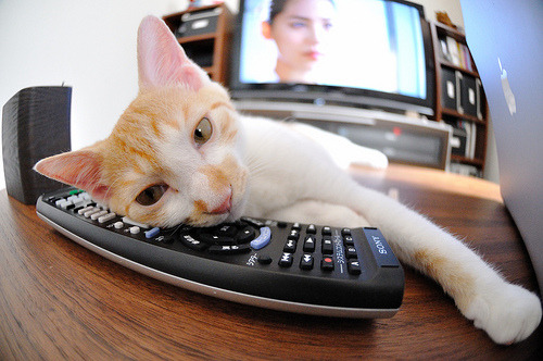 国王连续抢断打出五连快攻展现侵略性，国王5连败